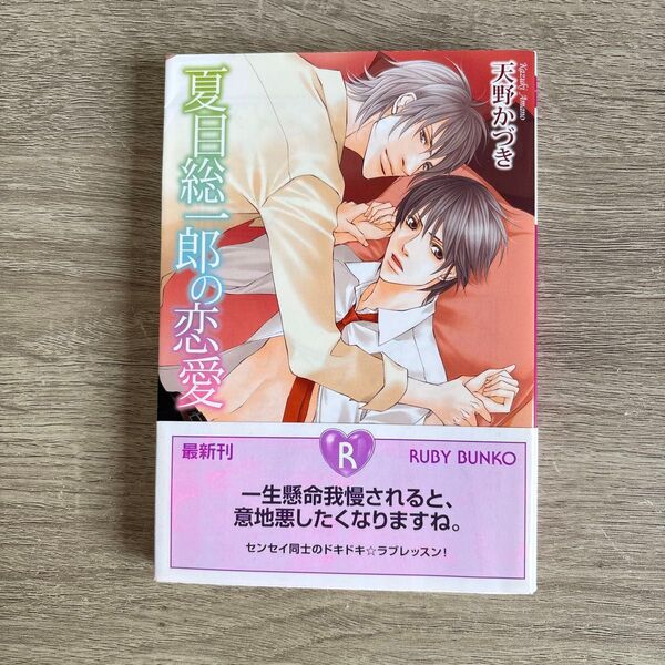 夏目総一郎の恋愛/天野かづき/BL小説