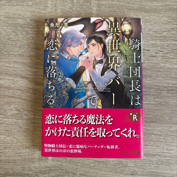 騎士団長は異世界バーで恋に落ちる/魚形青/BL小説