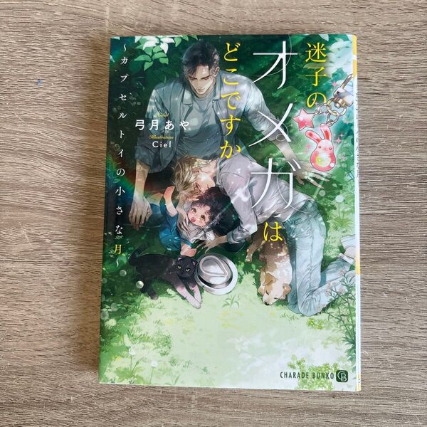 迷子のオメガはどこですか/弓月あや/BL小説