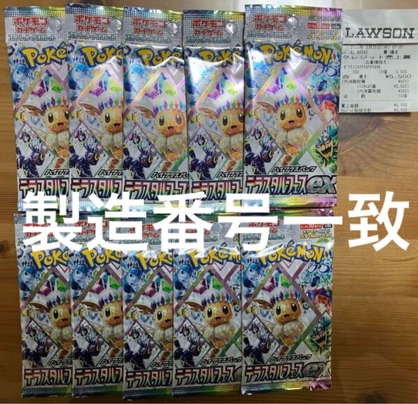 テラスタルフェスex 10パック