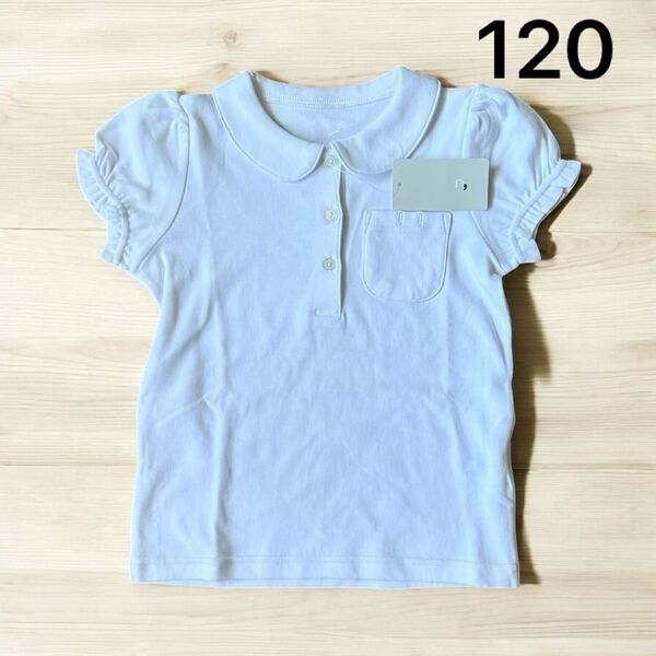 半袖 丸襟 Tシャツ ブラウス キッズ 綿100 白 120cm ポケット ちょうちん袖 フリル