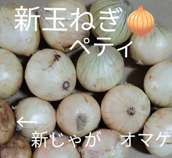 新玉ねぎと新じゃがいもセット