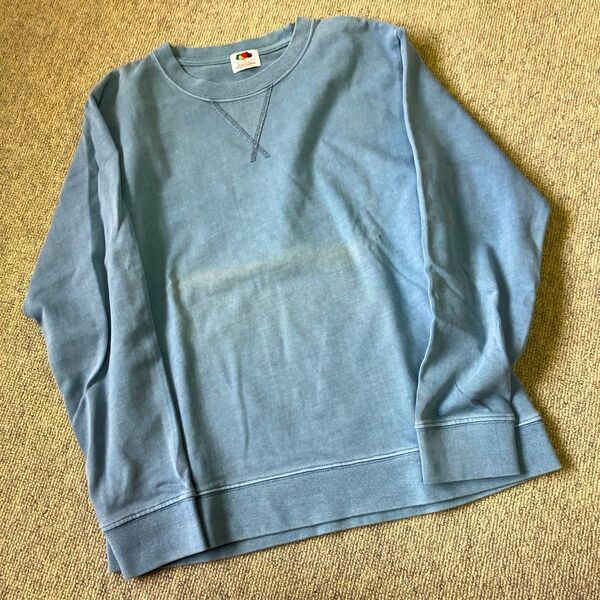 FRUIT OF THE LOOM フルーツオブザルーム カットソー ブルー