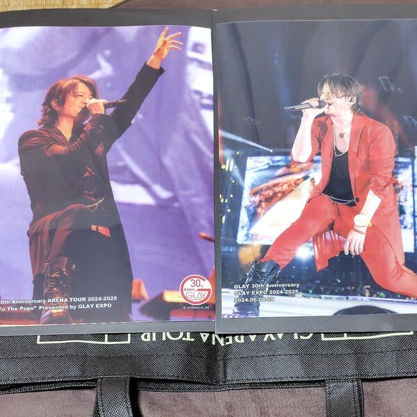 GLAY エンタメくじ クリアポスター賞 TERU 2種類セット