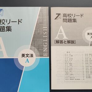 【最新版】 新品 高校リード問題集 英文法A【解答付】