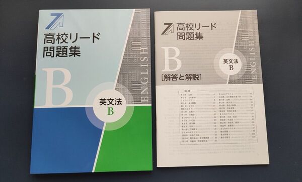 【最新版】 新品 高校リード問題集 英文法B【解答付】