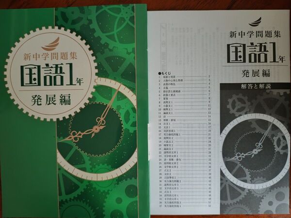 【最新版】 新品 新中学問題集 国語(発展)中1【解答付】