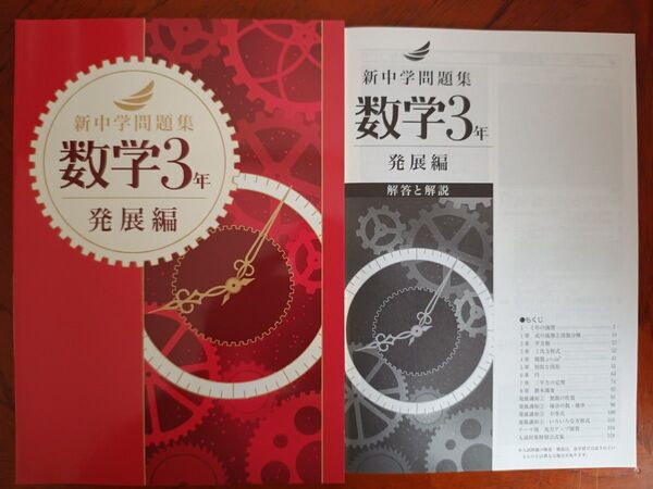 【最新版】 新品 新中学問題集 数学(発展)中3【解答付】