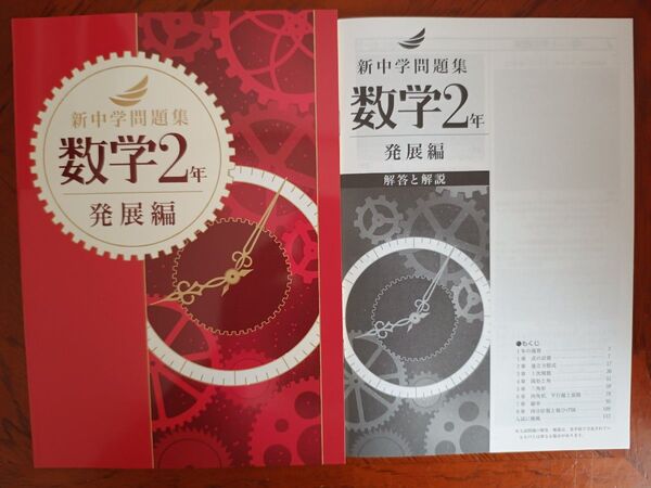 【最新版】 新品 新中学問題集 数学(発展)中2【解答付】