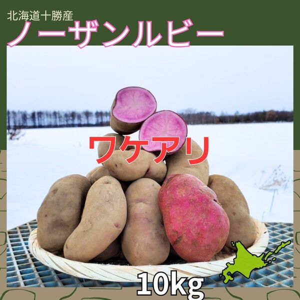 *訳アリ【10kg】北海道産 じゃがいも シャドークイーン ノーザンルビー 【農家直送】
