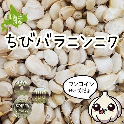 【1kg】北海道 清水町産 ニンニク【産地直送】