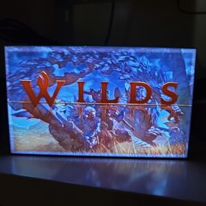 【限定】WILDS モンスターハンター風 3Dライトボックス|RGBライト・USB・リモコン付き