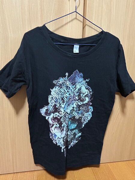 RADWIMPS 2014年ライブツアーTシャツ 黒 Mサイズ バンドTシャツ