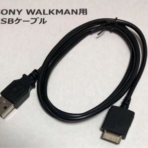 ウォークマン 充電 通信 USBケーブル WALKMAN USB