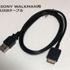 ウォークマン 充電 通信 USBケーブル WALKMAN USB