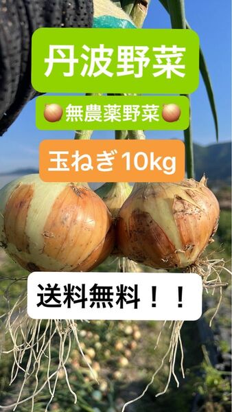 丹波の無農薬野菜 玉ねぎ、玉葱10kg