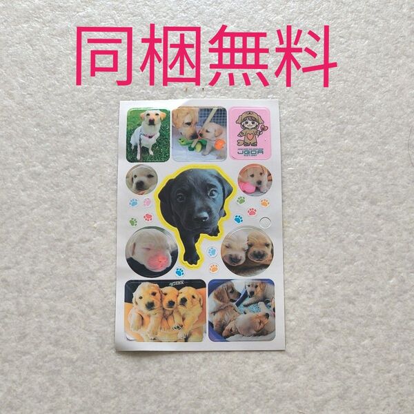 日本盲導犬協会シール 同梱無料