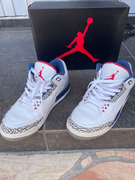 NIKE AIR JORDAN 3 RETRO "TRUE BLUE" 《2016》26.0cm