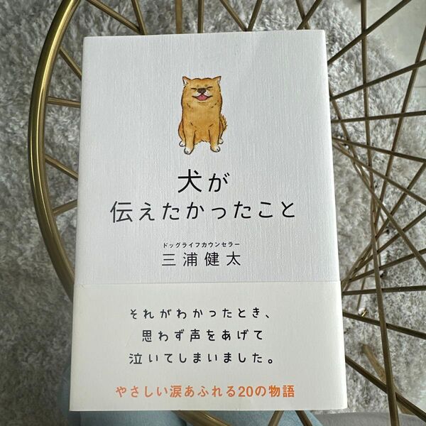 犬が伝えたかったこと (sanctuary books) 三浦健太/編著