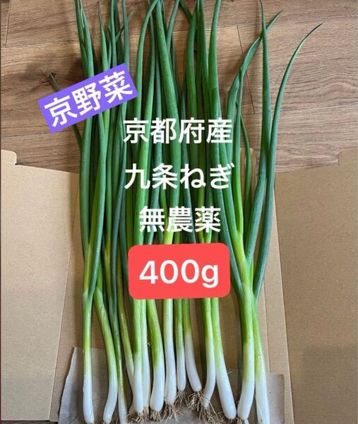 京都府産 本場の九条ねぎ 400g超え ネコポス 注文受けてから収穫 新鮮お届け