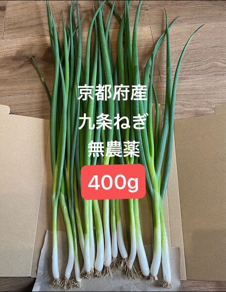 京都府産 無農薬 九条ねぎ 400g 京野菜