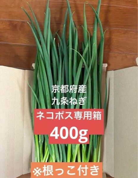 京都府産 九条ネギ ネコポス専用箱いっぱい 400g