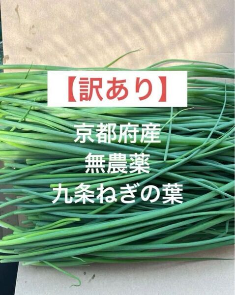 【訳あり】 京都府産 無農薬 九条ネギの葉 細めの九条ねぎの葉 ネコポスいっぱい