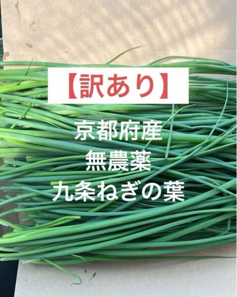 【訳あり】 京都府産 無農薬 九条ネギの葉 細めの九条ねぎの葉 ネコポスいっぱい