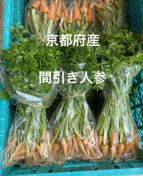 京都府産 間引き人参 無農薬 春にんじん にんじん葉 ネコポスいっぱい