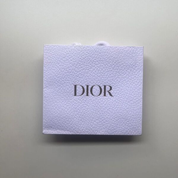 Dior ディオール 紙袋 ショッパー ギフトバッグ