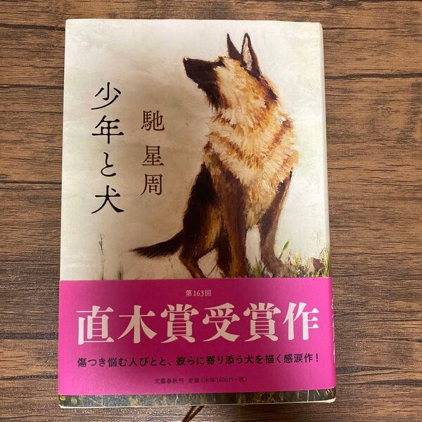 少年と犬