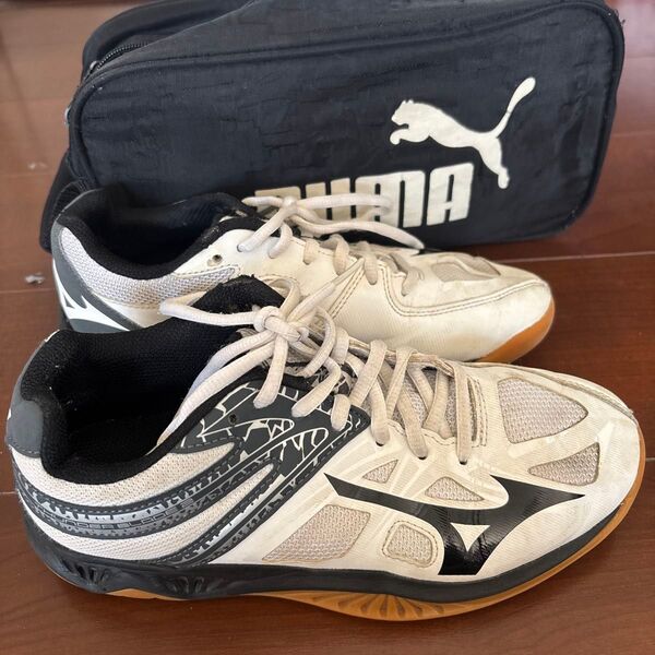 MIZUNOバレーボールシューズ(ケース付き!)