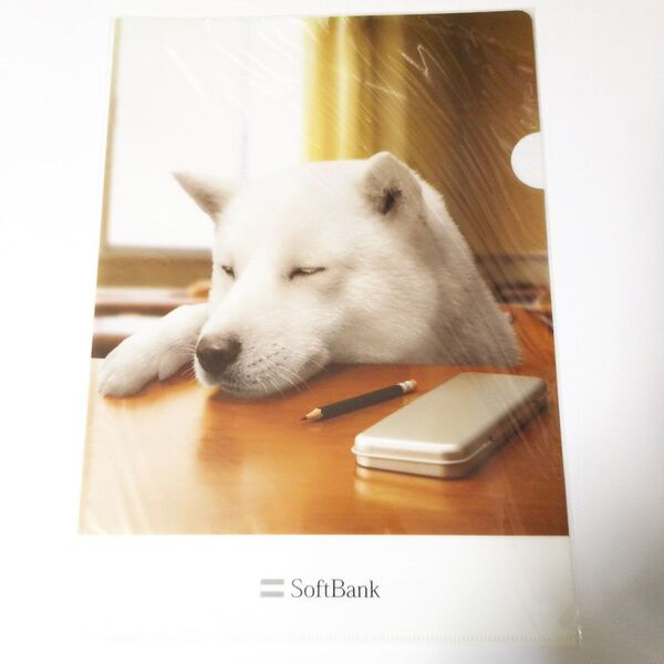 Softbank お父さん犬 クリアファイル A4