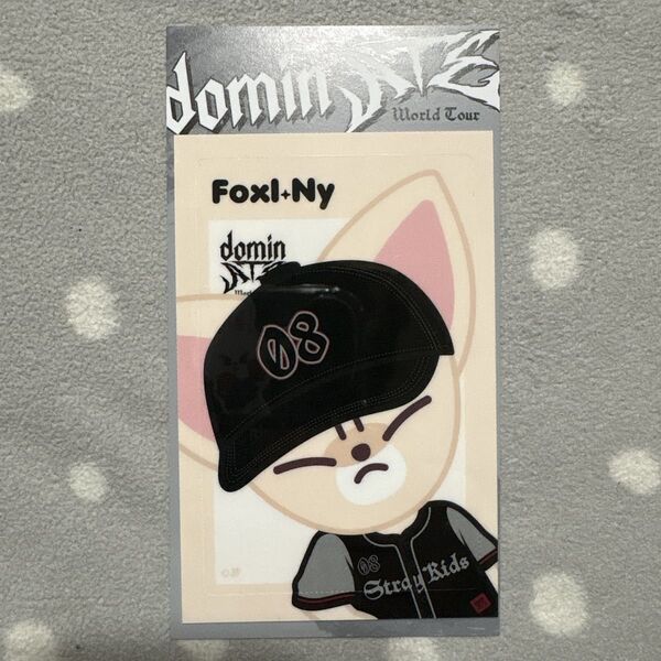 スキズ ツアーバス 特典ツアーバス エコパスタジアム straykids 静岡エコパ アイエン FoxINy フォクシニー