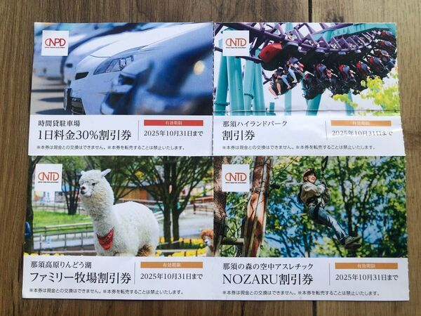 日本テーマパーク開発株式会社割引券