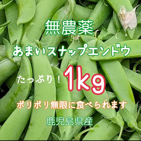 お買い得!無農薬 あまいスナップエンドウ 1kg 鹿児島県産 家庭菜園