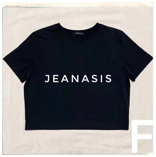 JEANASIS ブラック 無地 ショート丈半袖Tシャツ