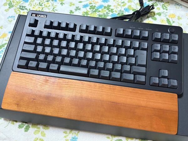 REALFORCE R3UC11 有線 テンキーレス 45g 日本語 おまけのパームレスト