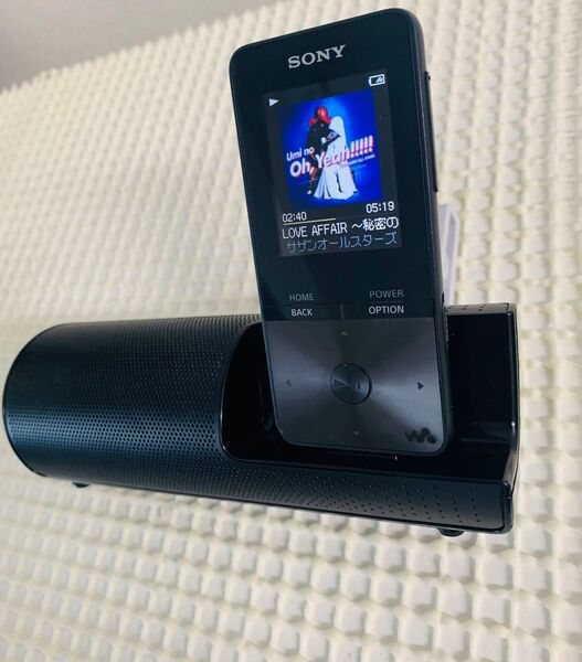 状態良 追記有 SONY WALKMAN NW-S315K(B) 純正スピーカー付き 16GB ウォークマン