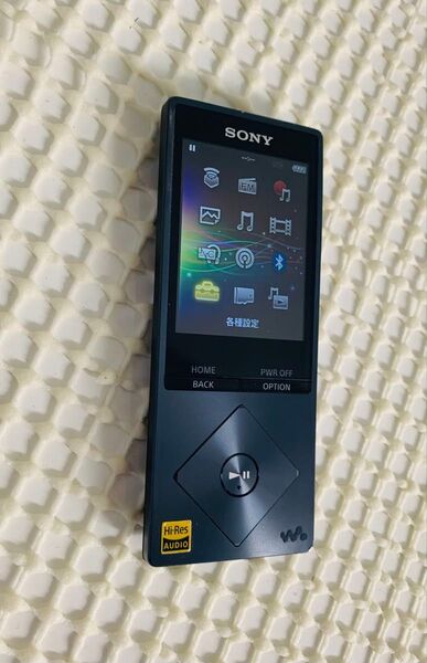 SONY ウォークマン NW-A25 16GB ハイレゾ A20シリーズ