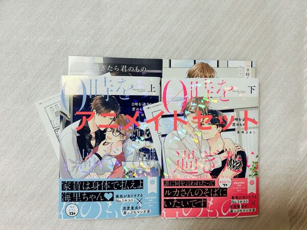 BL新刊 0時を過ぎたら君のもの 茶野まめこ 上巻 下巻 アニメイト有償小冊子 リーフレット ペーパー2枚