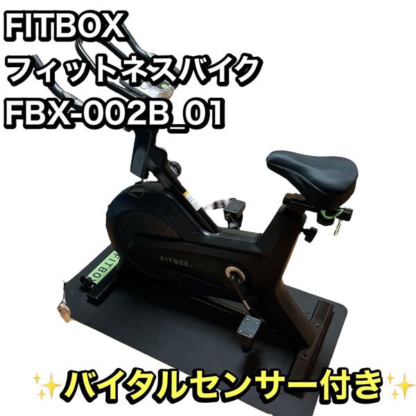 FITBOX フィットネスバイク FBX-002B_01 マット サドル付き