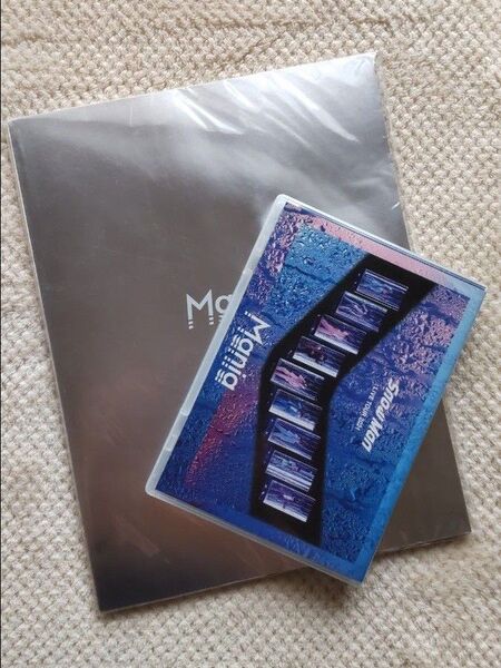 Snow Man LIVE TOUR 2021 Mania 通常盤 DVD2枚組 & ツアーパンフレット