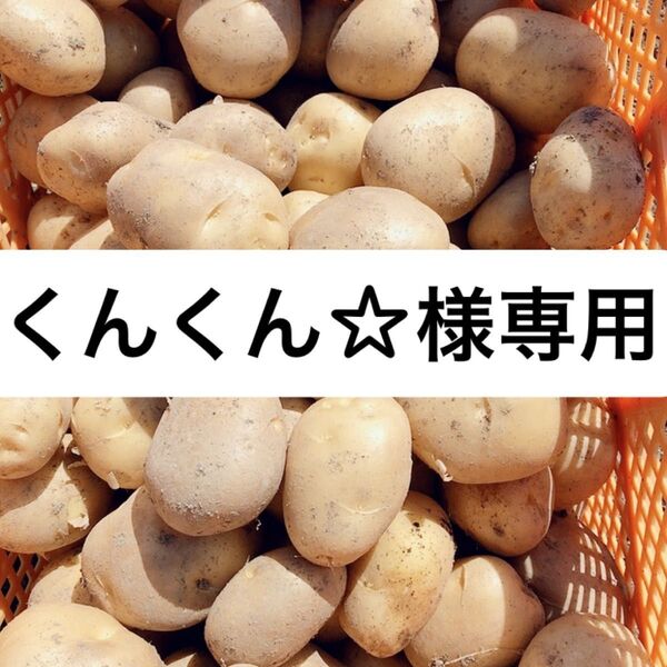 鹿児島県産新じゃがいも10キロ