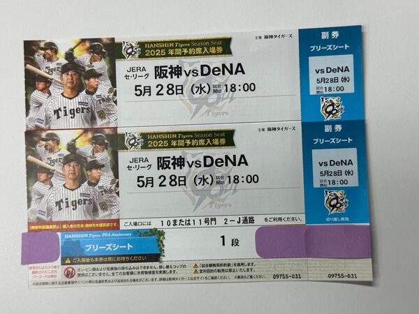 5月28日(水)18時開始予定 阪神甲子園球場 DeNA戦 ブリーズシート ペア(2席 2連番)