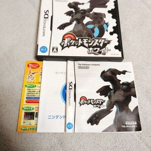 【DS】ポケットモンスター ホワイト