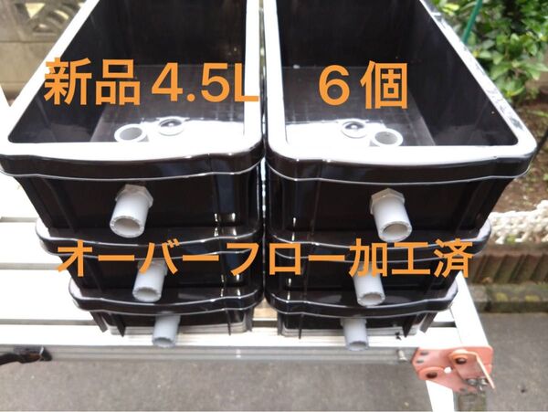 【新品】4.5L×6個 ブラック オーバーフロー加工済 メダカ飼育ケース