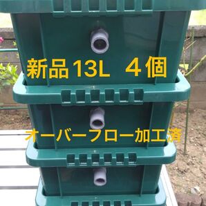 【新品】13L、濃グリーン4個、オーバーフロー加工済、メダカ飼育ケース