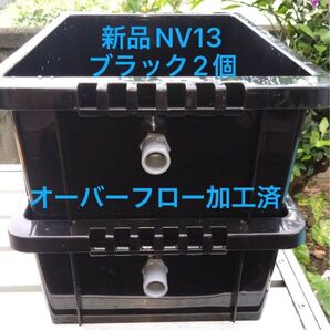 期間限定、お値下げ中!新品、NV13 ブラック2個、オーバーフロー加工済、メダカ飼育ケース