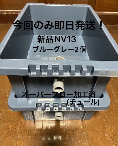 【新品】入手困難、NV13 ブルーグレー2個、オーバーフロー加工済、めだか飼育